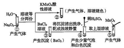 图片_x0020_100009