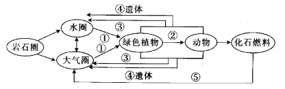 图片_x0020_100016