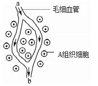 图片_x0020_1676623428