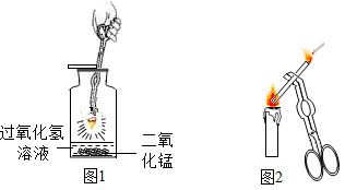 图片_x0020_100010
