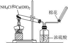 图片_x0020_1766235586