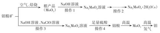 图片_x0020_100019