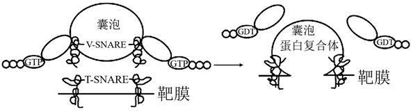 图片_x0020_100009