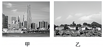 图片_x0020_100012