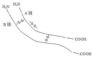 图片_x0020_100003