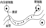 图片_x0020_100005