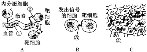 图片_x0020_100015