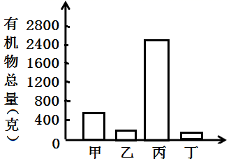 图片_x0020_240092668
