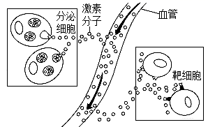图片_x0020_405440052