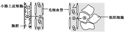 图片_x0020_100002