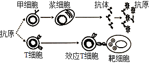 图片_x0020_100013