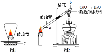 图片_x0020_100016
