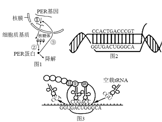 图片_x0020_1511132582