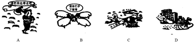 图片_x0020_100007