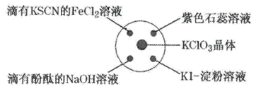 图片_x0020_100006