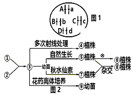 图片_x0020_100018