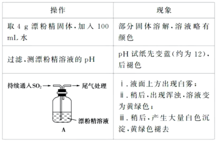 图片_x0020_100016