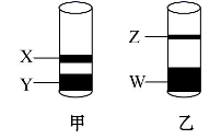 图片_x0020_100004