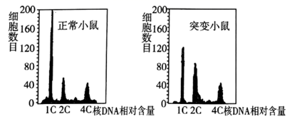 图片_x0020_100003