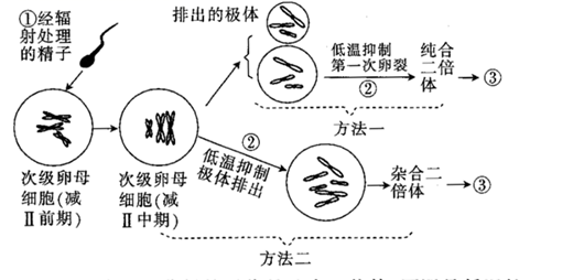 图片_x0020_100012