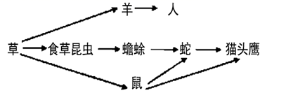 图片_x0020_647901498