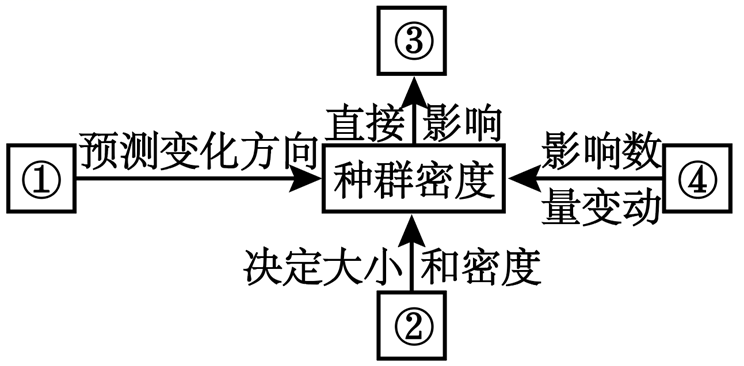 图片_x0020_31267514