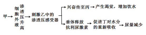 图片_x0020_1085858925