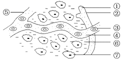 图片_x0020_100003