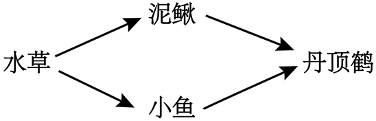 图片_x0020_903760562