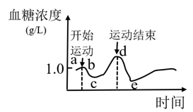 图片_x0020_100001