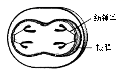 图片_x0020_100002