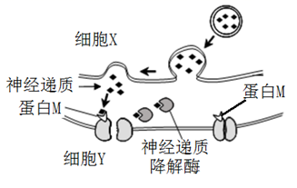 图片_x0020_100001