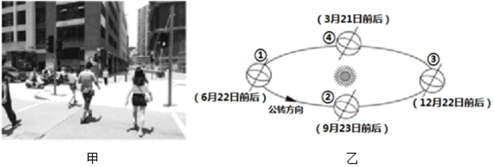 图片_x0020_1966806082