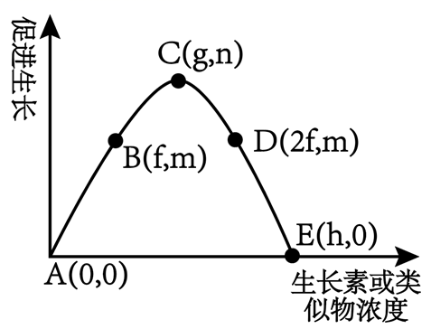 图片_x0020_486026442