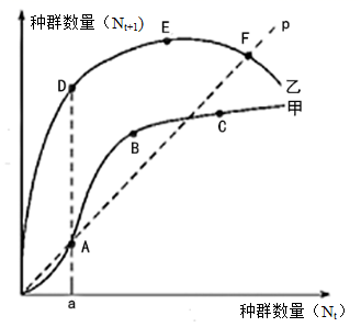 图片_x0020_2128916746