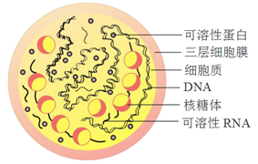 图片_x0020_100001