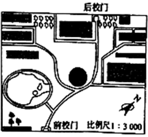图片_x0020_1773729687