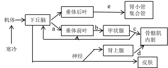 图片_x0020_767326556