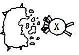 图片_x0020_1335784525