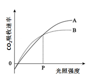 图片_x0020_1227991710