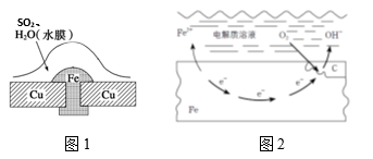 图片_x0020_100024