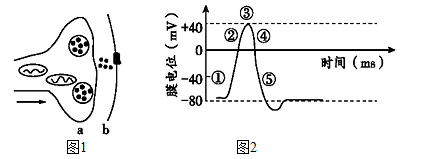 图片_x0020_100010