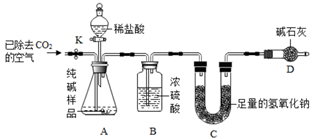 图片_x0020_100025
