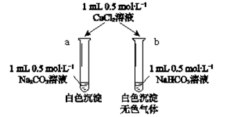 图片_x0020_1872705239