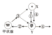 图片_x0020_100003