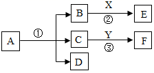 图片_x0020_100012