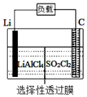 图片_x0020_100012