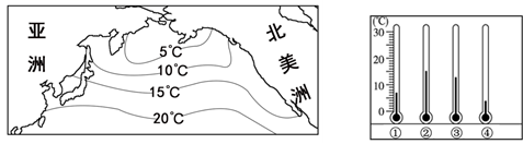 图片_x0020_100010