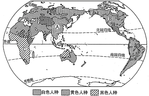 图片_x0020_1390624009