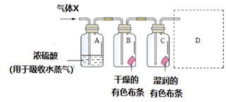 图片_x0020_100009